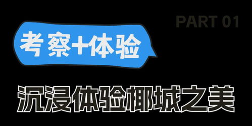 2024年“請進(jìn)來”海口暑期旅游產(chǎn)品推介活動圓滿落幕，助力暑期旅游信息精準(zhǔn)觸達(dá)